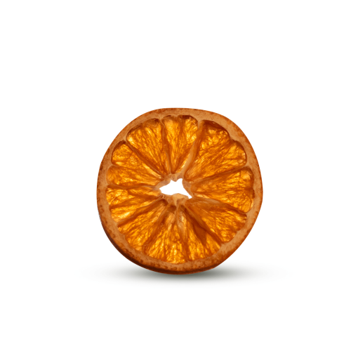 Dried Orange