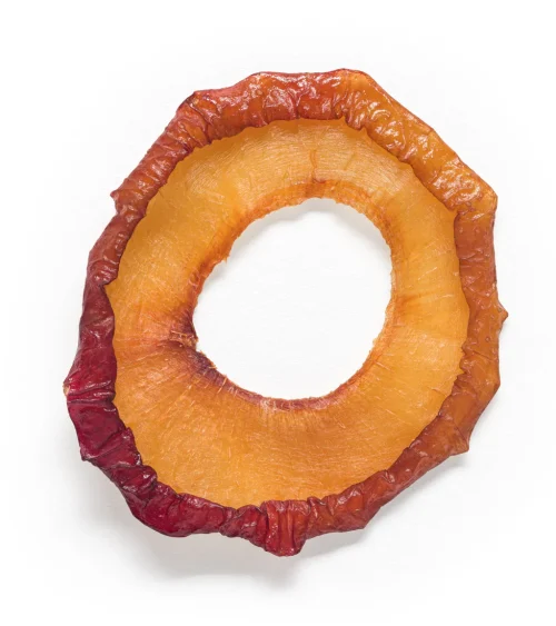 Dried Plum